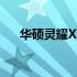华硕灵耀X14：轻薄便携本的杰出代表