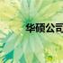 华硕公司：探究其起源与国家背景