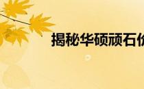 揭秘华硕顽石价格亲民的原因